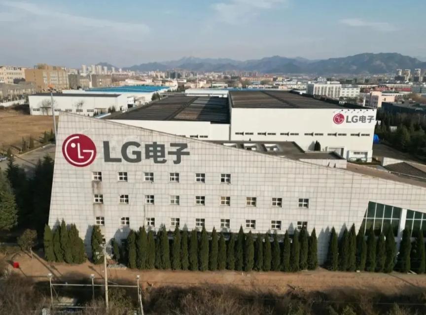 电竞女神助阵品，九游娱乐下载，牌活动，跨界合作引热议