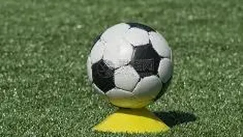 九游娱乐 资讯 135036 8on